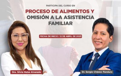 WEB(5) Curso en Proceso de alimentos y omisión a la asistencia familiar.
