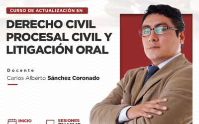 WEB (1) Curso de Actualización Derecho Civil, Procesal Civil y Litigación Oral – 02 de mayo del 2024